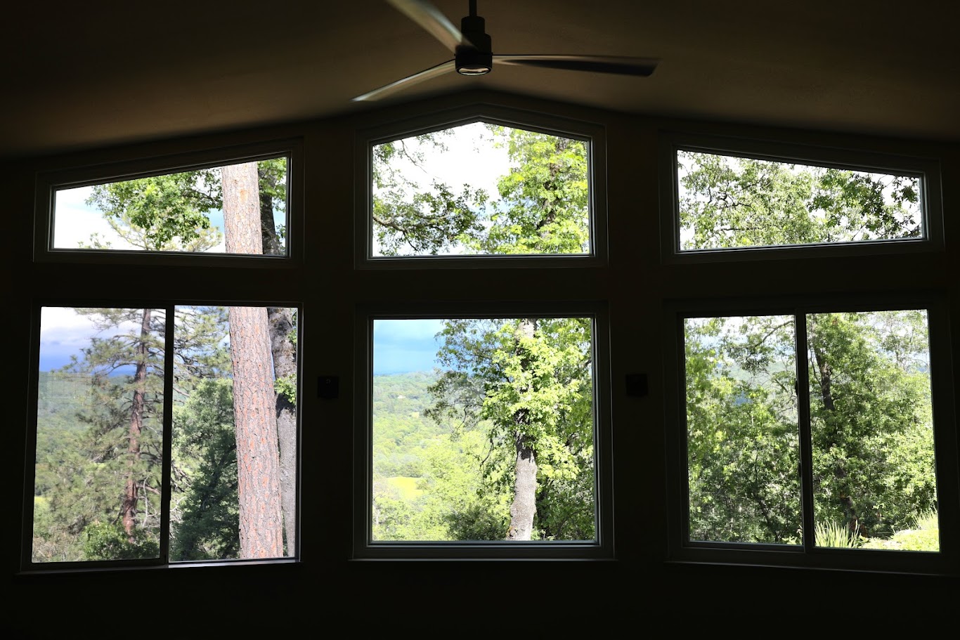 Windows/Doors image 10