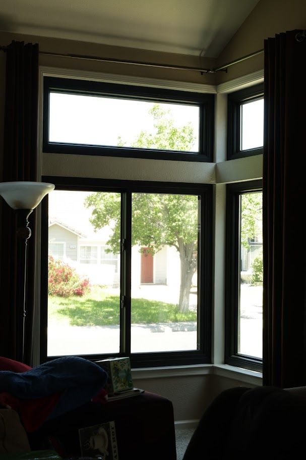 Windows/Doors image 10