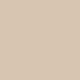 Tan Paint
